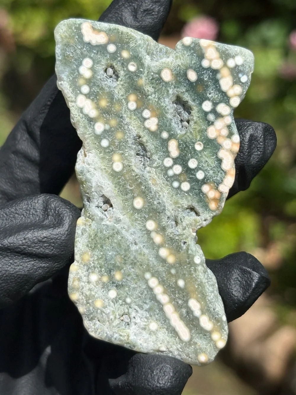 Druzy Ocean Jasper Crystal Freeform - Orbicular Jasper - Sea Jasper